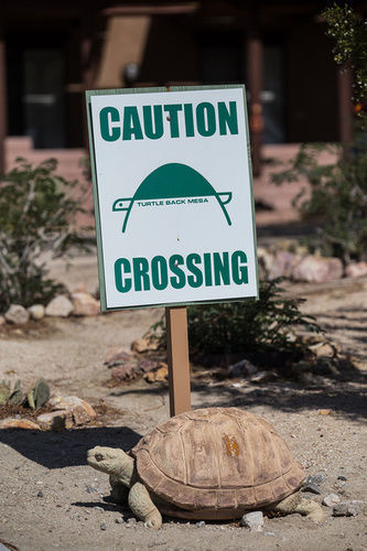 Turtle Back Mesa Bed And Breakfast Indio Exterior photo